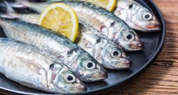 Omega 3 y alergias respiratorias El Jurel un aliado contra los