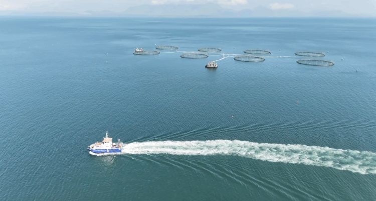 Mowi Escocia estrena el buque Benthic Surveyor para reforzar monitoreo de los fondos marinos