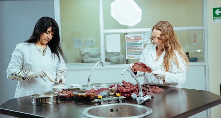 Proyecto busca desarrollar un nuevo ingrediente basado en algas para reducir índice glicémico de alimentos de consumo masivo