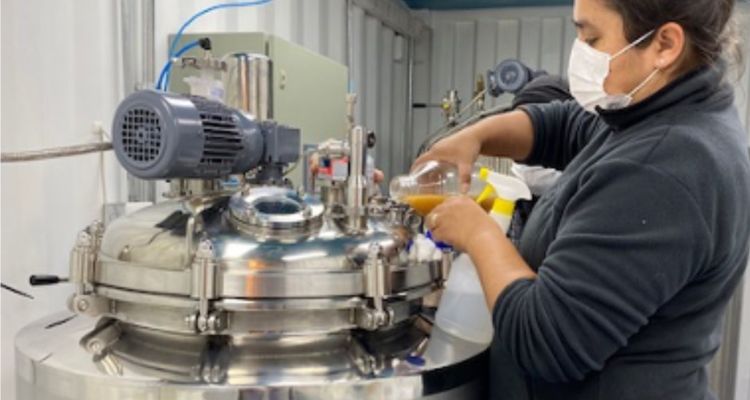 Científicos chilenos crean compuesto marino que mejora la eficacia de cremas y cosméticos