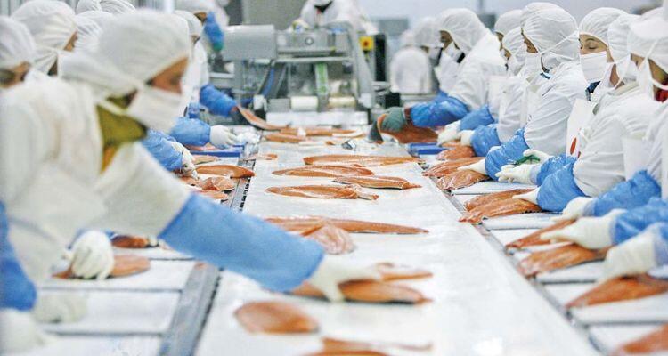 JBS y Nissui buscan ampliar inversiones en salmonicultura chilena