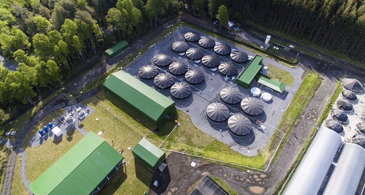 Hendrix Genetics incorpora a nuevo Business Development Manager