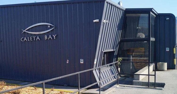 Suprema mantiene multa millonaria a Caleta Bay por sobreproducción de trucha