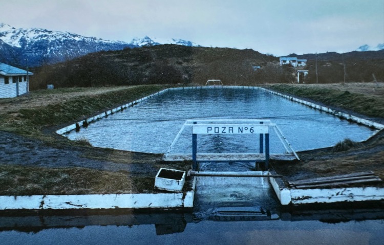 La salmonicultura en Magallanes: Desde los pioneros a la consolidación de la industria