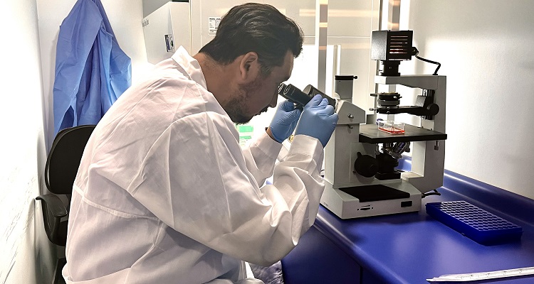 I+D y alternativas no farmacológicas: Ejes al alza en la salmonicultura chilena