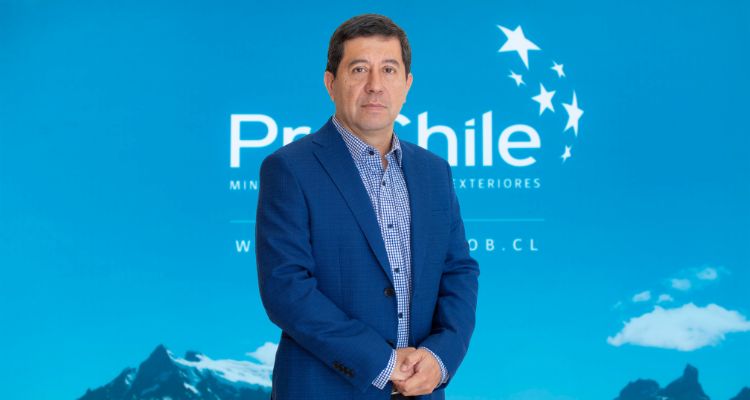 Columna: Innovación exportable, Los Lagos en la senda del desarrollo sostenible