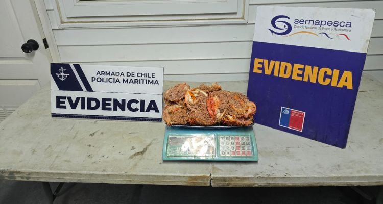 Embarcación se da a la fuga durante fiscalización