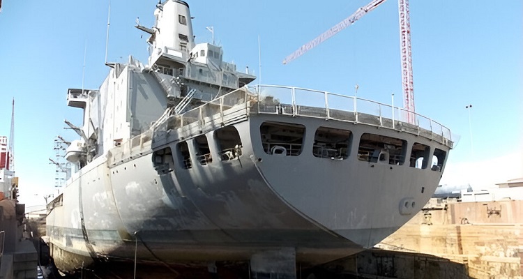 Investigación propone modelo para predecir riesgo de invasiones marinas en puertos chilenos