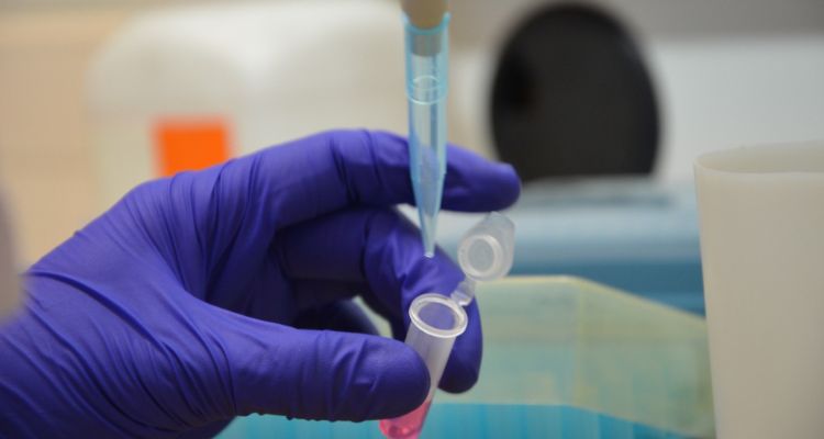 INCAR lanza programa del Seminario Latinoamericano de vacunas en acuicultura