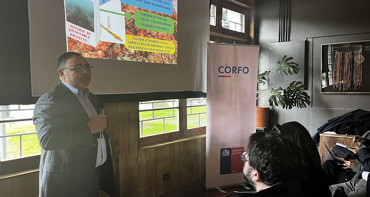 Startup revaloriza los desechos del piure para generar biomateriales