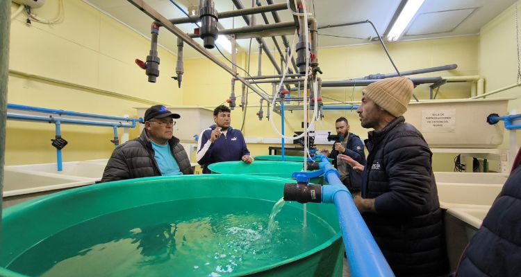AquaPacífico realizará seminario internacional sobre innovación en acuicultura emergente