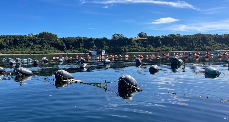 Seis Estudios de INCAR se presentarán en XI Encuentro Anual de NENRE EfD-Chile