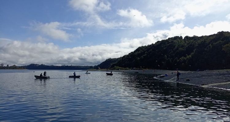 Sernapesca fiscaliza escape de más de 42 mil salmones en centro de Marine Farm