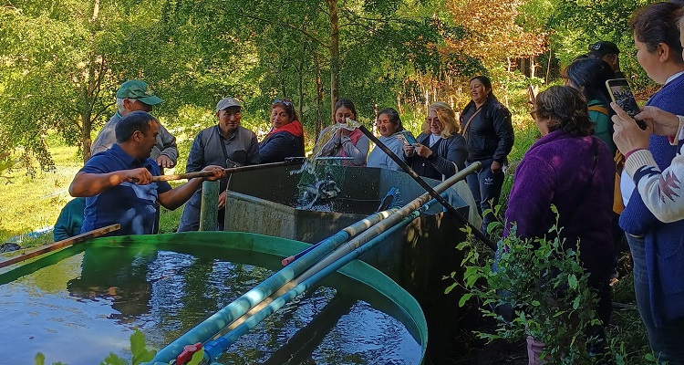 Fundación Acuiponía Chile abre 12º Taller de Acuiponía en Perquenco