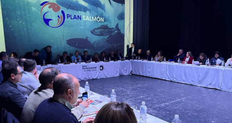 Plan Salmón 2050 sesionó en Punta Arenas con énfasis en la certeza jurídica