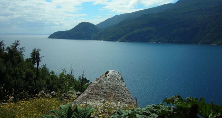 Congreso Latinoamericano de Física de Estuarios y Costas Oceánicas presenta su programa oficial