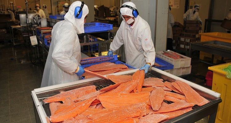 Exportaciones de la Región de Los Lagos superan los US$ 5.100 millones entre enero y septiembre