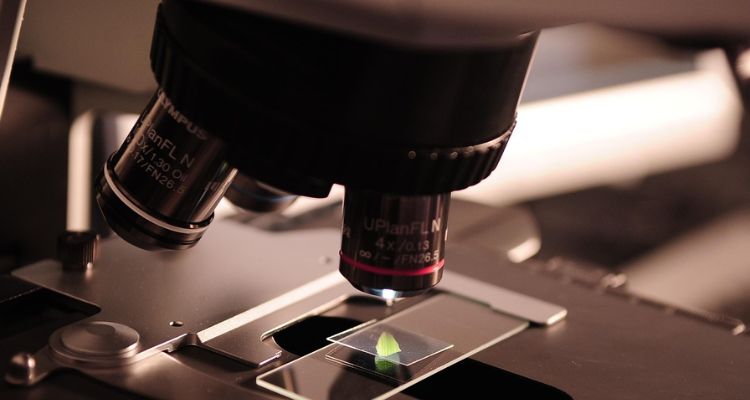 Innovación universitaria: UCN y UFRO trabajan en acuicultura y reciclaje electrónico