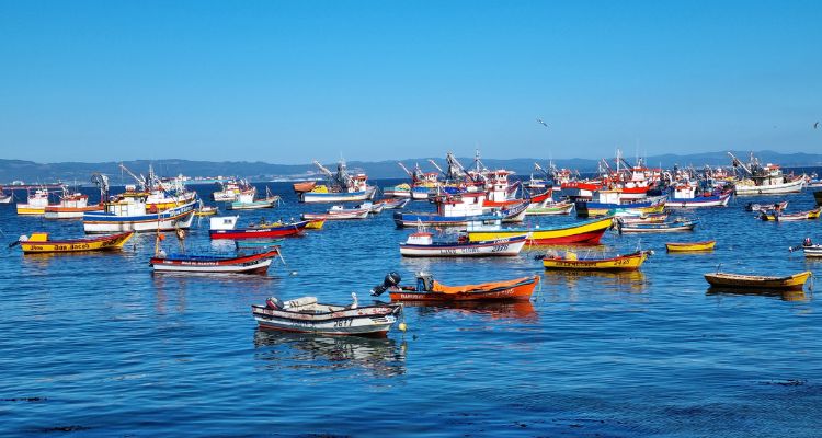 Científicos latinoamericanos alertan sobre acidificación oceánica en la COP30