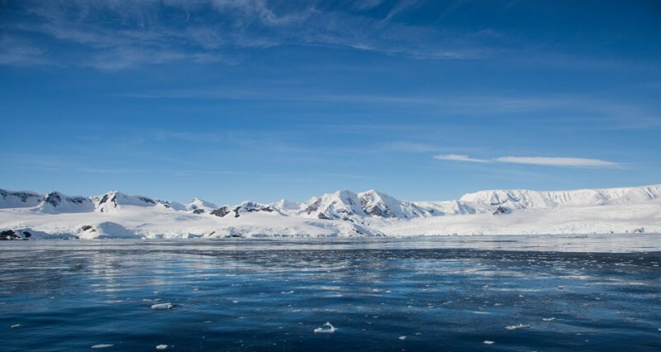 Aker QRILL destaca avances hacia nueva Área Marina Protegida en la Antártica