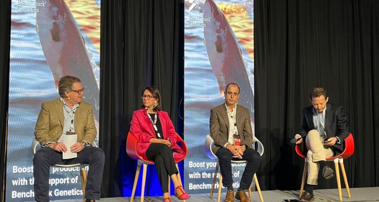 Blumar presenta hoja de ruta para fortalecer la competitividad del salmón chileno