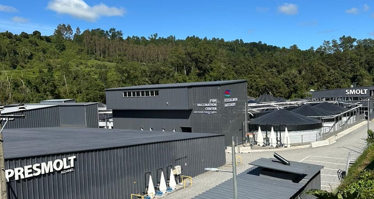 Ecosalmon inaugura centro pionero de vacunación con tecnología de Pharmaq Fishteq