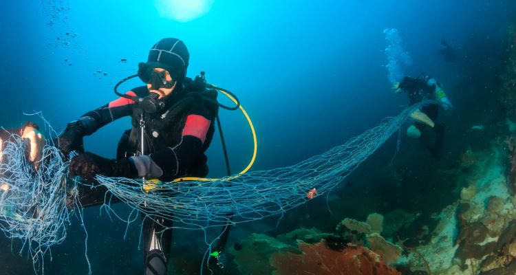 ¿En qué consiste la nueva ley que regula el trabajo de buzos en Chile?