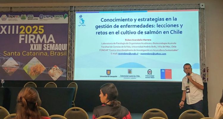 Chile avanza en diagnóstico y vacunas para enfrentar Tenacibaculum en salmones