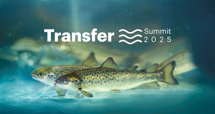 Transfer Summit 2025 de Salmofood reunirá a líderes del sector salmonero