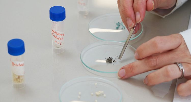 Buscan transformar descartes de la industria pesquera en soluciones sustentables