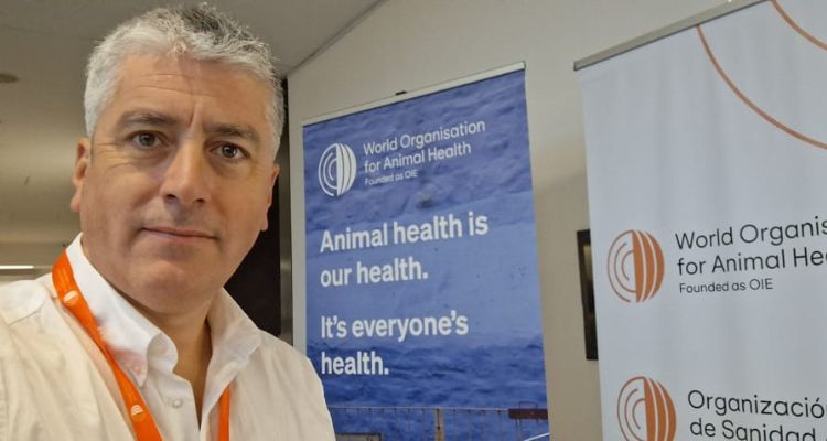 AmiChile aborda estándares OMSA para un comercio internacional seguro