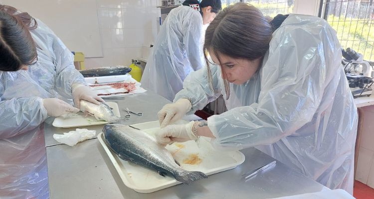 SalmonChile completa seis años de programa de formación técnica para jóvenes