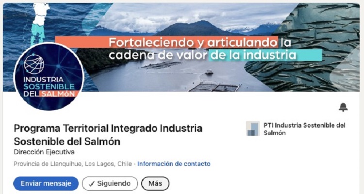 Articulado por Corfo: PTI Industria Sostenible del Salmón lanza sus RR SS