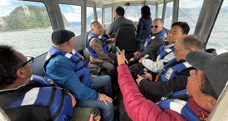 Expertos chinos analizan en Hualaihué la interacción entre pesca artesanal y lobos marinos