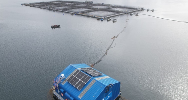 Solución busca eficientar la generación de oxígeno en centros de cultivo