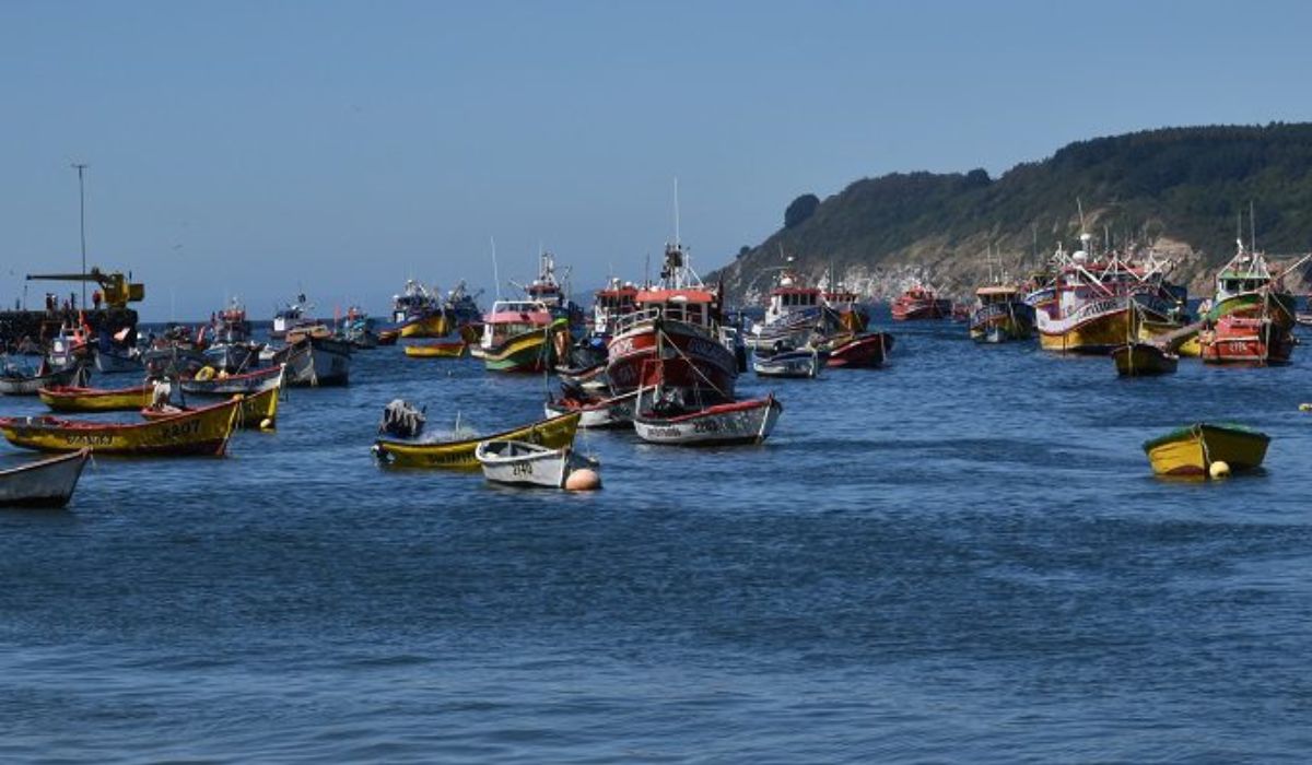 Comisión de Pesca aprueba exclusividad de la pesca artesanal en Valparaíso