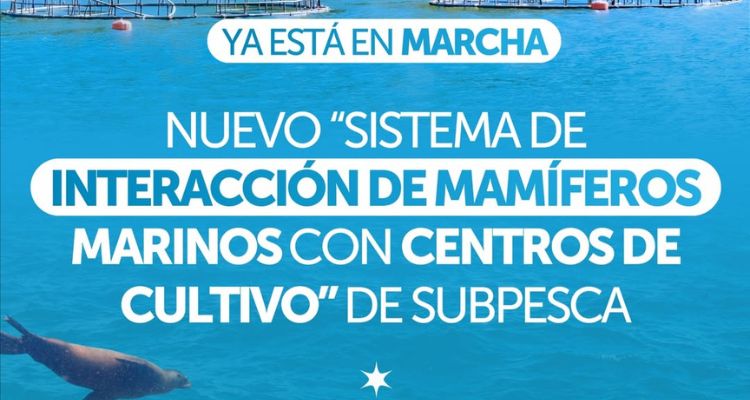 Subpesca activa sistema para monitorear mamíferos marinos en centros acuícolas