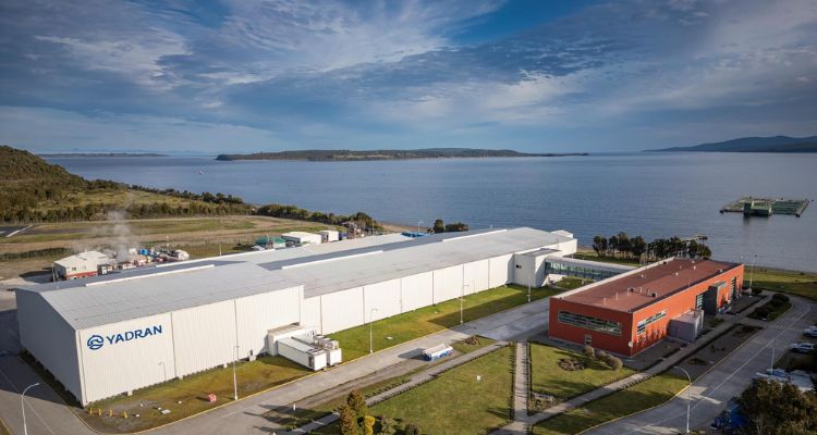 Nissui adquiere el 100% de Yadran y refuerza su estrategia en la salmonicultura chilena