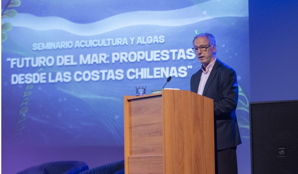 Destacan potencial de las algas nativas como activo estratégico para el país