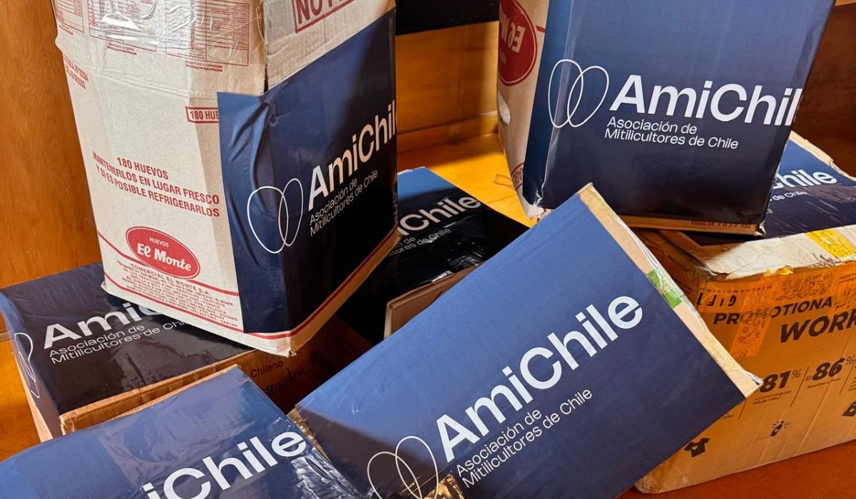 AmiChile apoya a los damnificados de los incendios en la zona centro sur del país