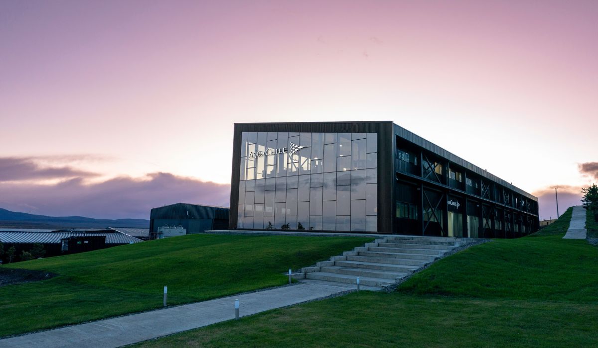 AquaChile cierra 2025 con mayores utilidades pese a presión en precios del salmón