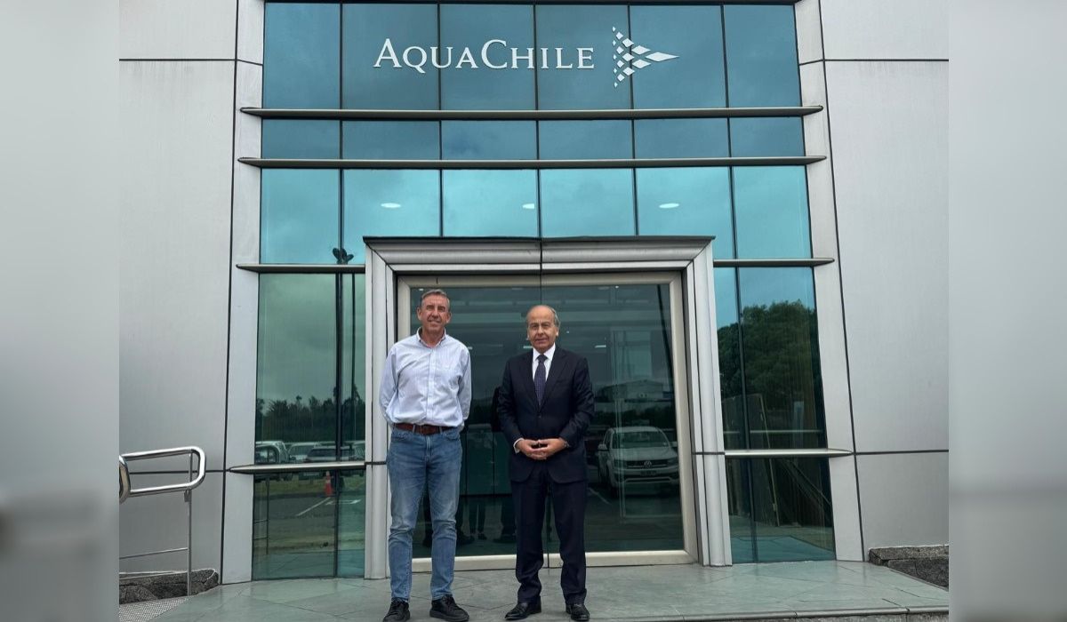 Aquasur incorpora a AquaChile como socio estratégico para impulsar innovación acuícola