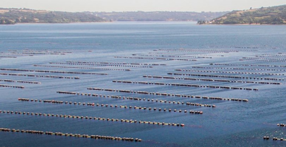 Ya está disponible la edición 179 de Mundo Acuícola