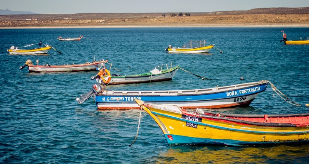 Centro Científico CEAZA insta a un sistema de monitoreo para la “marea roja”