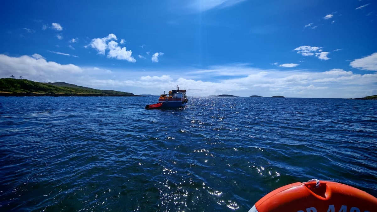 Sorprenden a embarcación con 4 toneladas de luga negra a bordo