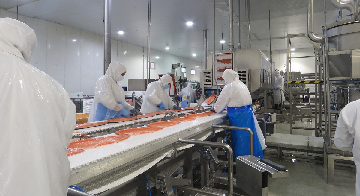 La logística integrada que permite a Mowi abastecer mercados internacionales