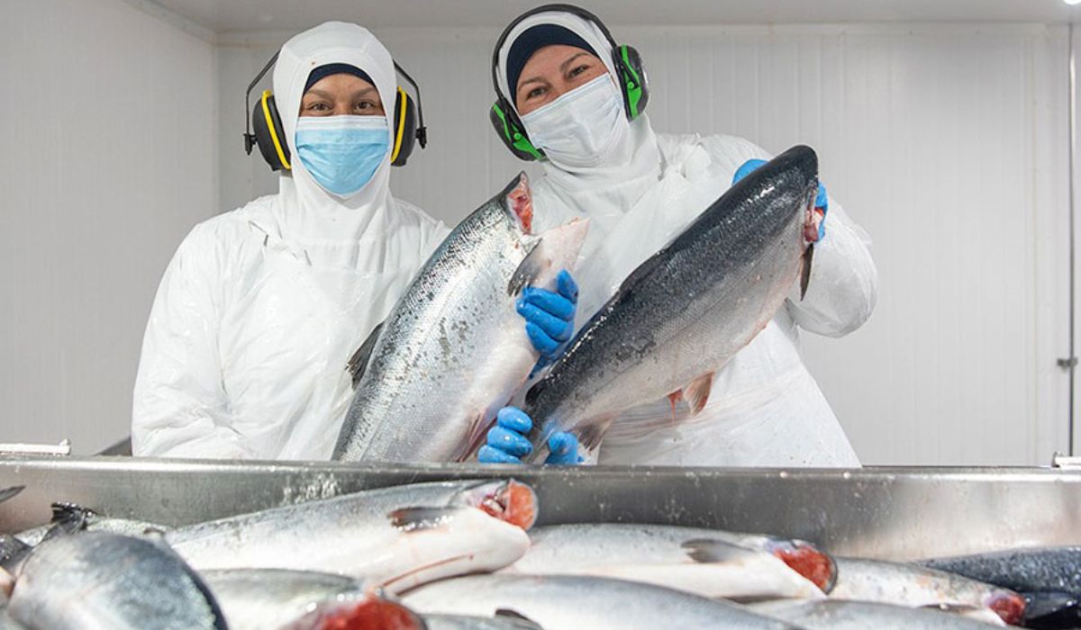 Informe sectorial confirma aumento de participación femenina en pesca y acuicultura