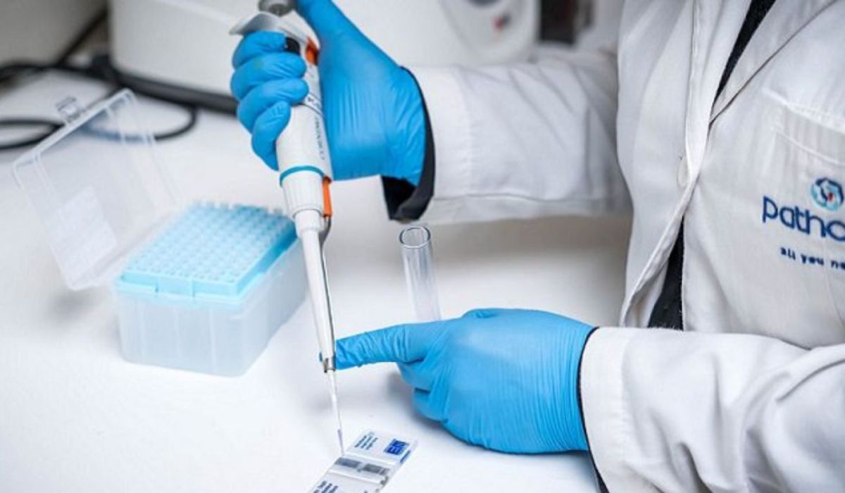 Pathovet lidera estudios que evidencian co-infección y límites de la vacunación contra SRS