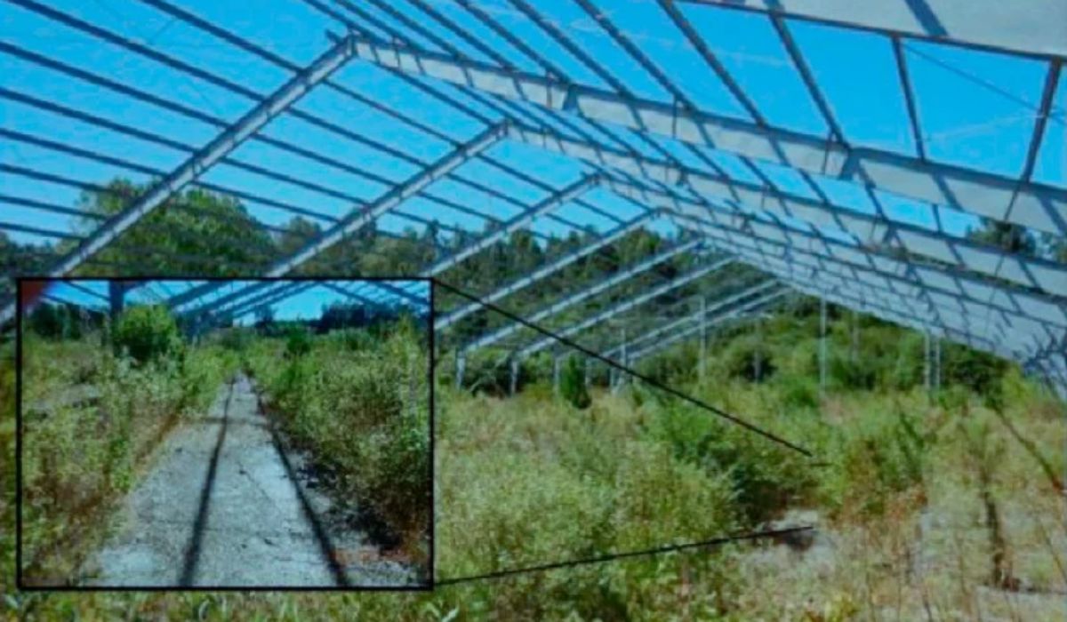 Tribunal Ambiental respalda a la SMA y descarta caducidad de piscicultura Río San Pedro