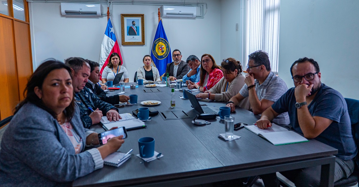 Autoridades coordinan respuestas preventivas ante temporada de FAN en Los Lagos